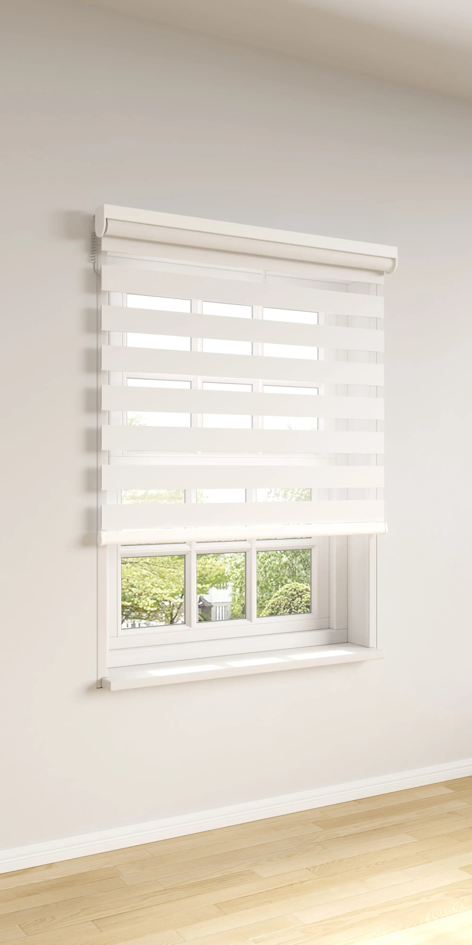 Zebra Shades My Store