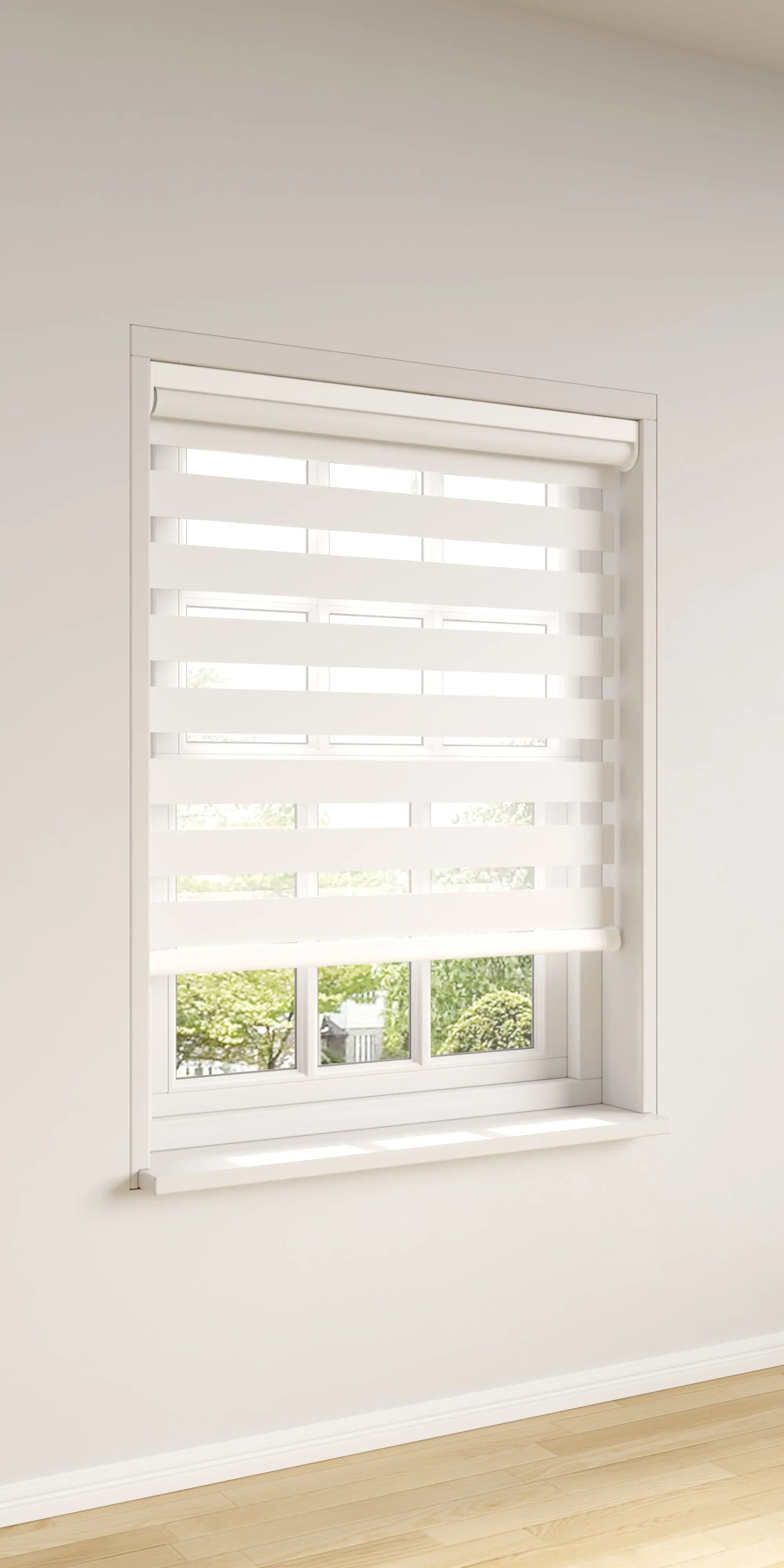 Zebra Shades My Store