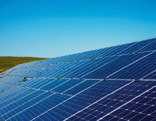 Solar Powered Roller Shades: The Future of Energy-Efficient Window Treatments