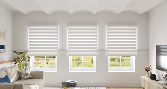 Zebra Shade Deep Dive: Why It's the Modern Home's Light Magician